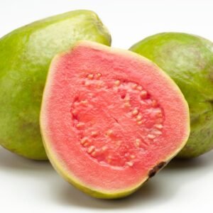 Red Hawaiian guava plant