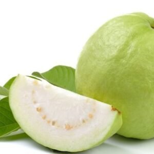 Thai white guava plant